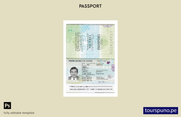 Listo para imprimir la plantilla actual del pasaporte de Nigeria